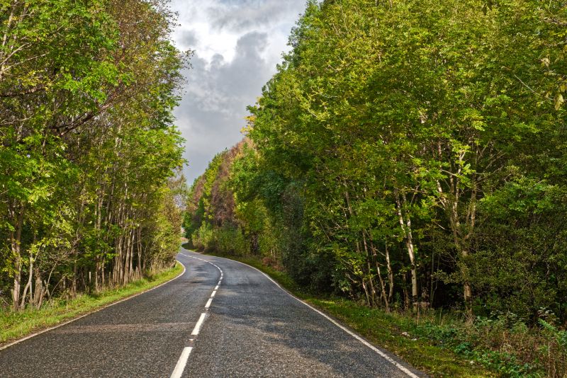 Tar And Chip Service