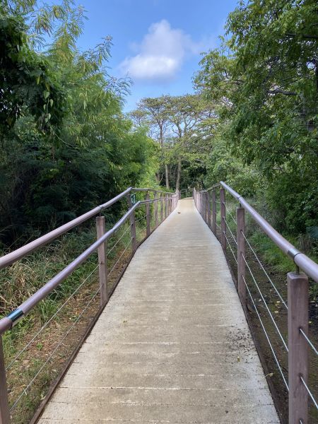 Footpath Construction